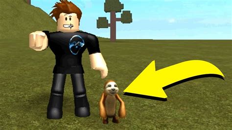 roblox youtuber with sloth|roblox youtuber with spongebob pfp.